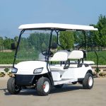Comparation between Ezgo golf cart and Qsen golf cart