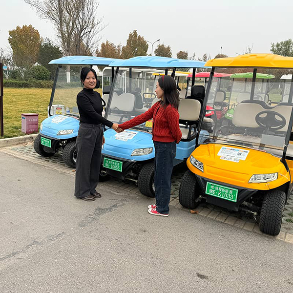 freecompress-golf-cart-China